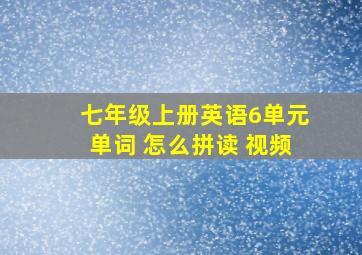 七年级上册英语6单元单词 怎么拼读 视频